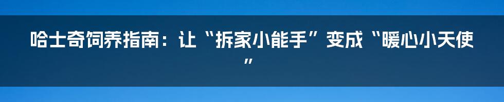 哈士奇饲养指南：让“拆家小能手”变成“暖心小天使”