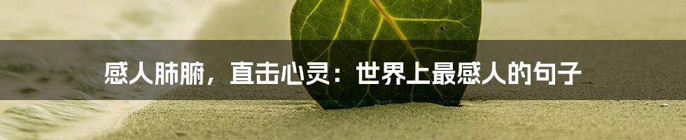 感人肺腑,直击心灵:世界上最感人的句子