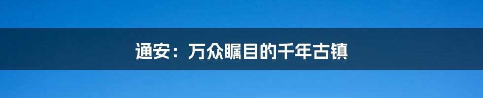 通安:万众瞩目的千年古镇