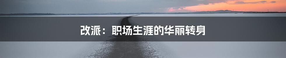 改派：职场生涯的华丽转身