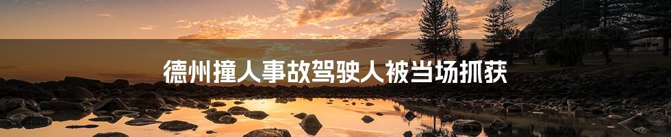 德州撞人事故驾驶人被当场抓获
