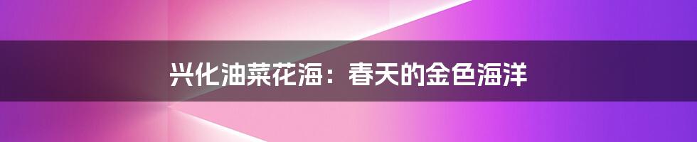 兴化油菜花海：春天的金色海洋