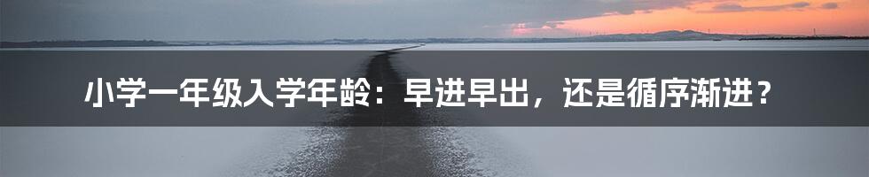 小学一年级入学年龄:早进早出,还是循序渐进?