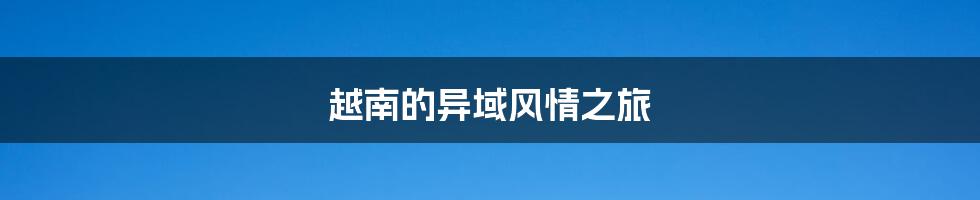 越南的异域风情之旅