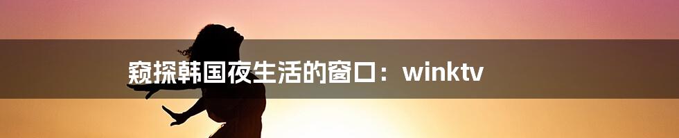 窥探韩国夜生活的窗口:winktv
