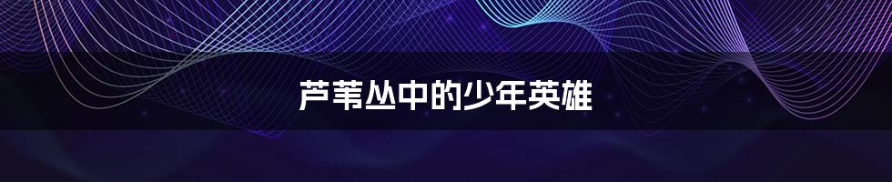 芦苇丛中的少年英雄