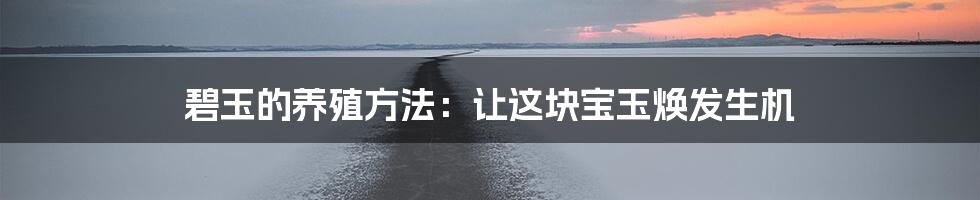 碧玉的养殖方法：让这块宝玉焕发生机