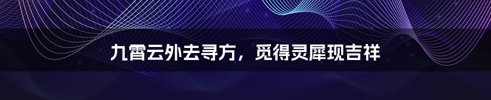 九霄云外去寻方,觅得灵犀现吉祥
