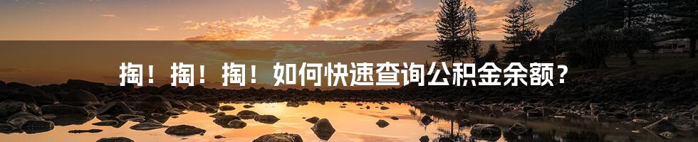 掏！掏！掏！如何快速查询公积金余额？