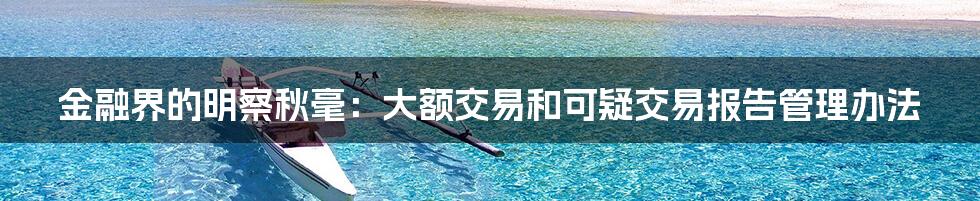金融界的明察秋毫:大额交易和可疑交易报告管理办法