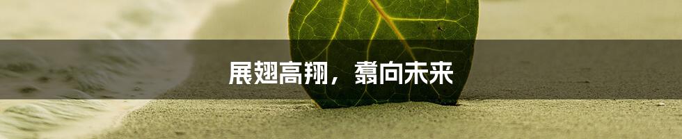 展翅高翔，翥向未来