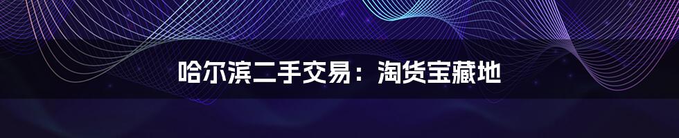 哈尔滨二手交易:淘货宝藏地
