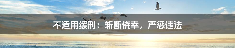不适用缓刑：斩断侥幸，严惩违法