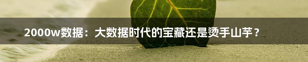 2000w数据:大数据时代的宝藏还是烫手山芋?