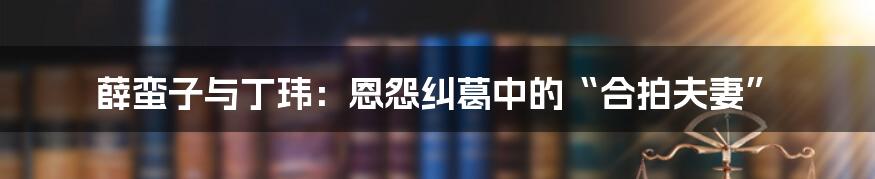 薛蛮子与丁玮:恩怨纠葛中的“合拍夫妻”