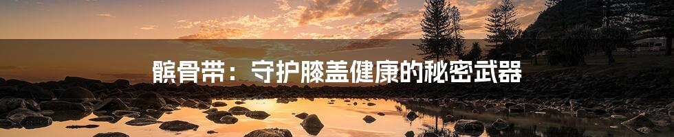 髌骨带:守护膝盖健康的秘密武器