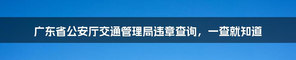 广东省公安厅交通管理局违章查询,一查就知道