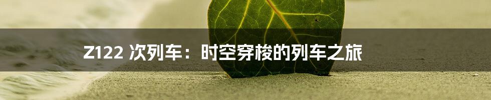 Z122 次列车:时空穿梭的列车之旅