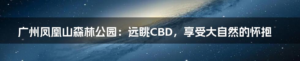 广州凤凰山森林公园:远眺CBD,享受大自然的怀抱