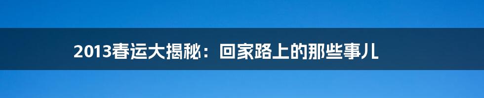 2013春运大揭秘:回家路上的那些事儿