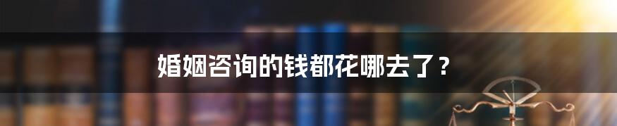 婚姻咨询的钱都花哪去了？