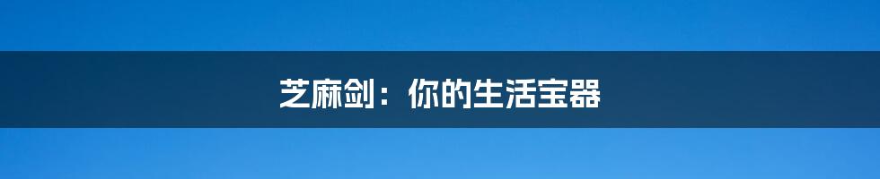 芝麻剑:你的生活宝器
