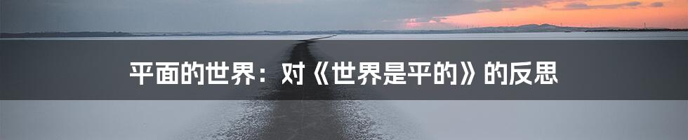 平面的世界:对《世界是平的》的反思