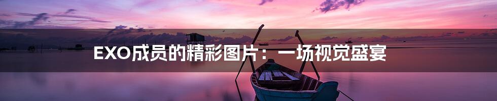 EXO成员的精彩图片：一场视觉盛宴