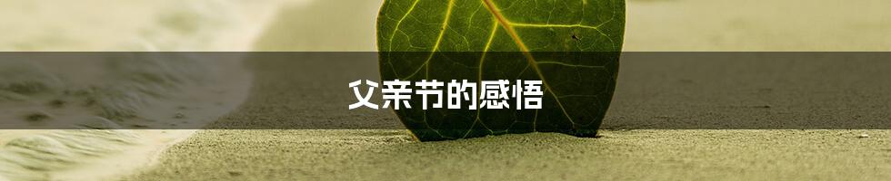 父亲节的感悟