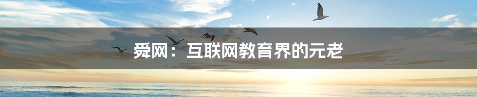 舜网:互联网教育界的元老