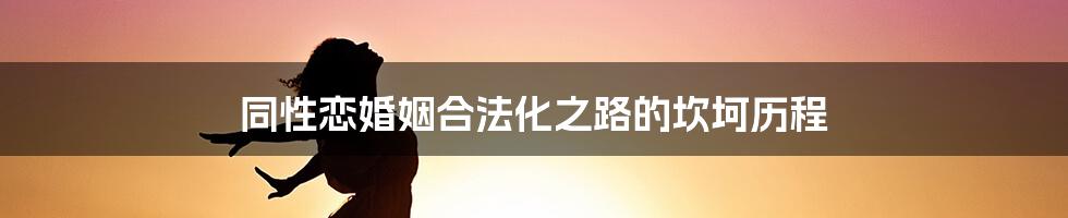 同性恋婚姻合法化之路的坎坷历程