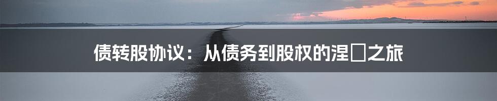 债转股协议：从债务到股权的涅槃之旅