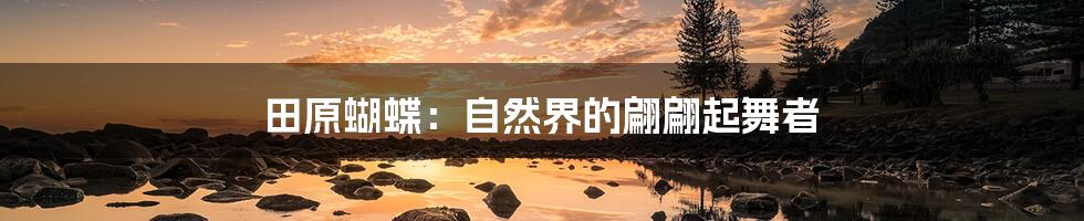 田原蝴蝶:自然界的翩翩起舞者