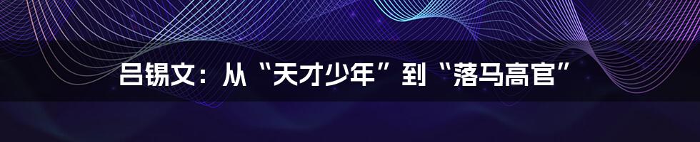 吕锡文：从“天才少年”到“落马高官”