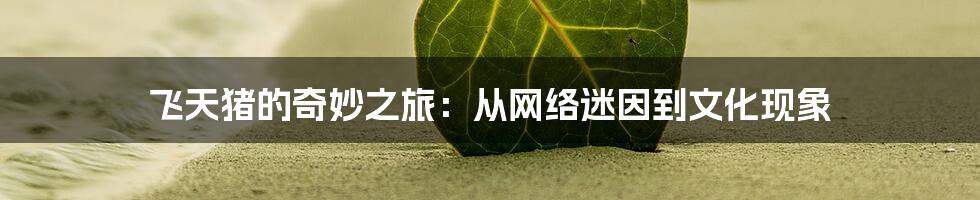 飞天猪的奇妙之旅：从网络迷因到文化现象