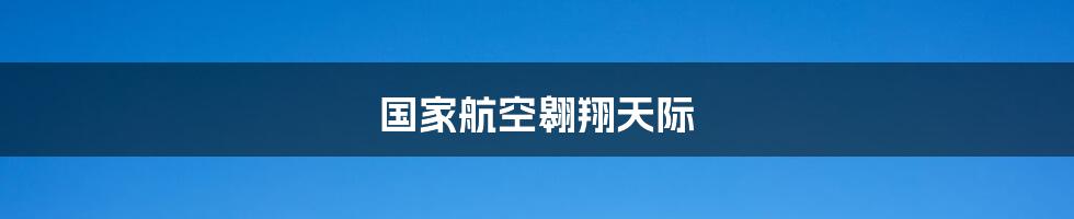 国家航空翱翔天际