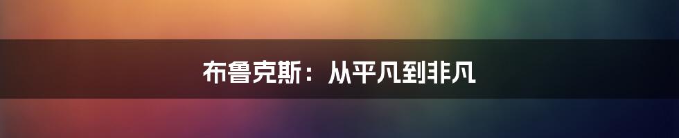 布鲁克斯:从平凡到非凡