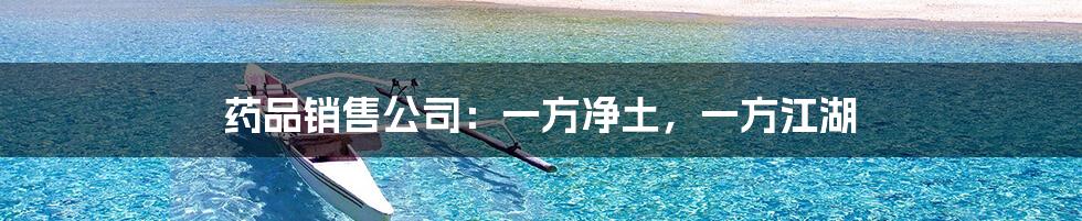 药品销售公司:一方净土,一方江湖