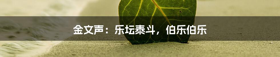 金文声：乐坛泰斗，伯乐伯乐