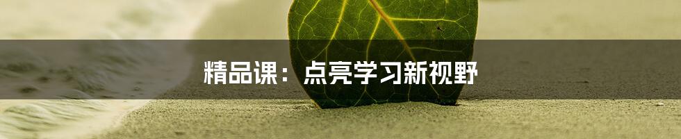 精品课:点亮学习新视野