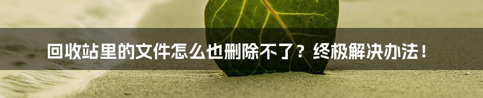 回收站里的文件怎么也删除不了？终极解决办法！