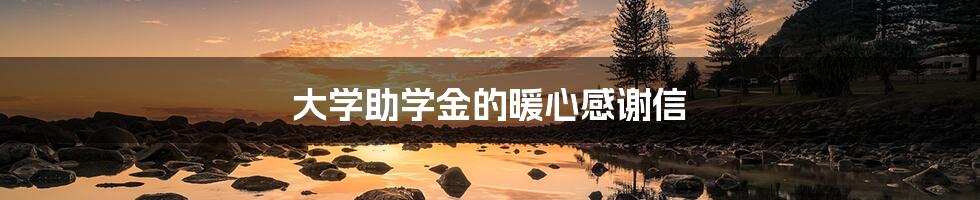 大学助学金的暖心感谢信