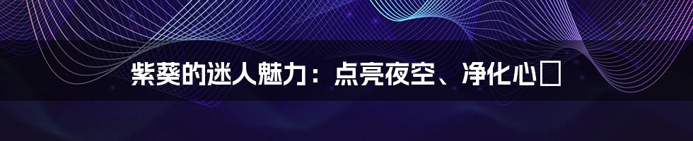 紫葵的迷人魅力：点亮夜空、净化心靈