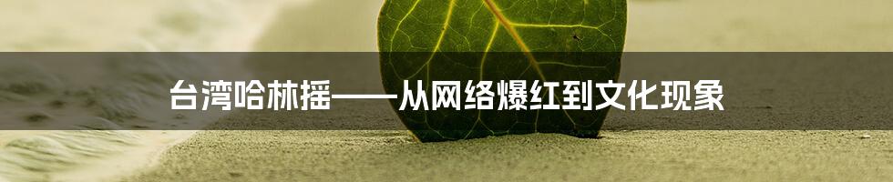 台湾哈林摇——从网络爆红到文化现象