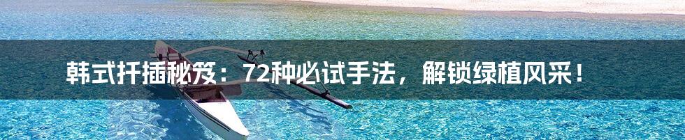 韩式扦插秘笈:72种必试手法,解锁绿植风采!