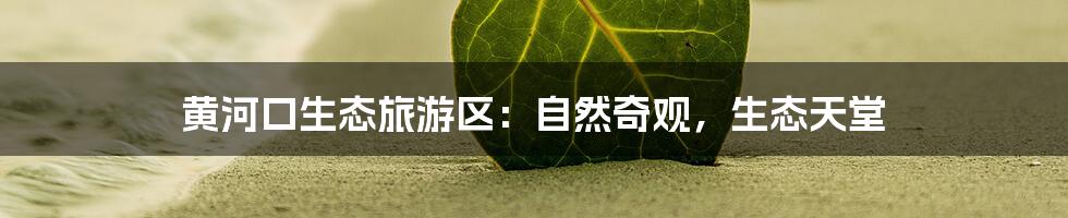 黄河口生态旅游区：自然奇观，生态天堂