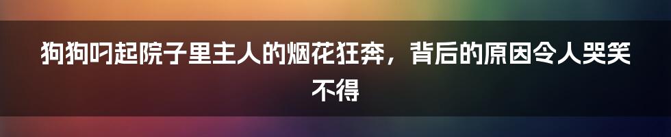狗狗叼起院子里主人的烟花狂奔,背后的原因令人哭笑不得