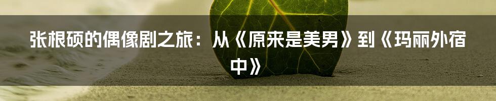 张根硕的偶像剧之旅:从《原来是美男》到《玛丽外宿中》