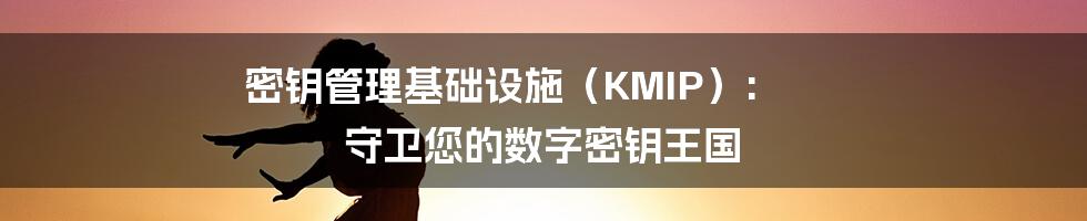 密钥管理基础设施(KMIP): 守卫您的数字密钥王国