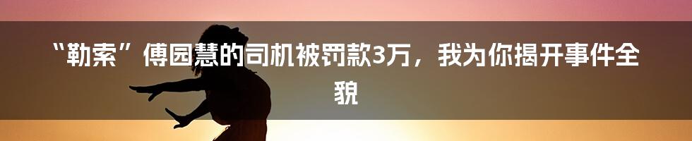 “勒索”傅园慧的司机被罚款3万，我为你揭开事件全貌